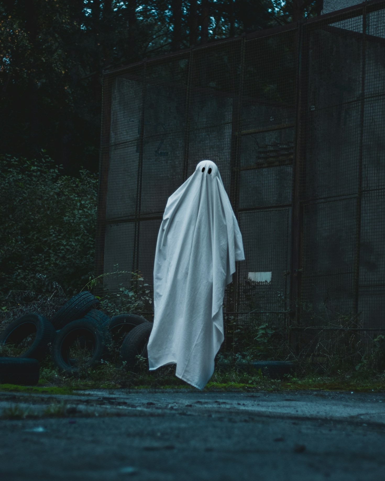 Interview with a Paranormal Research Expert